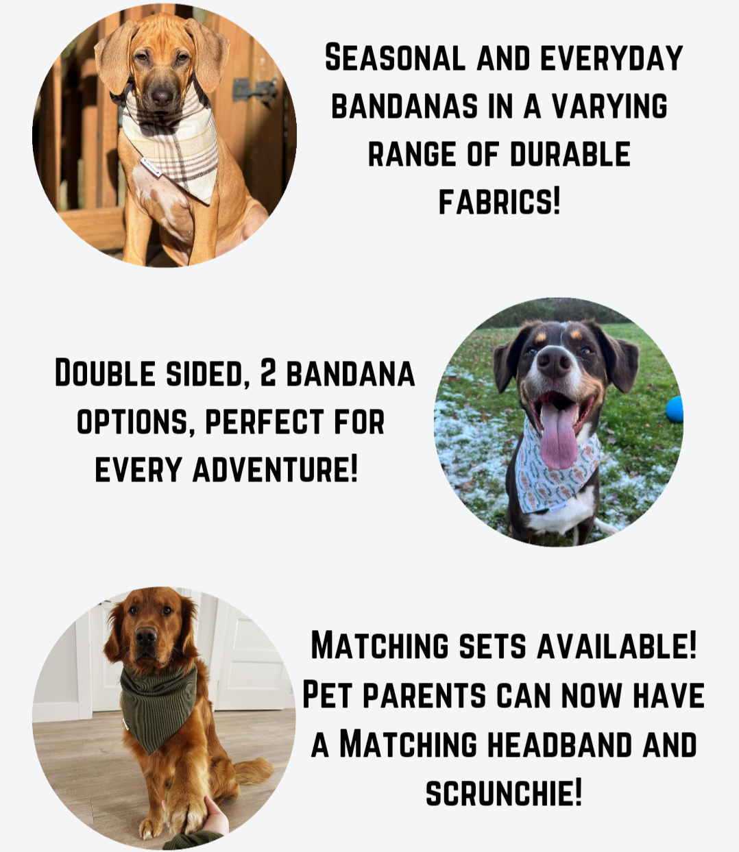 Dog bandanas pets outlet at home